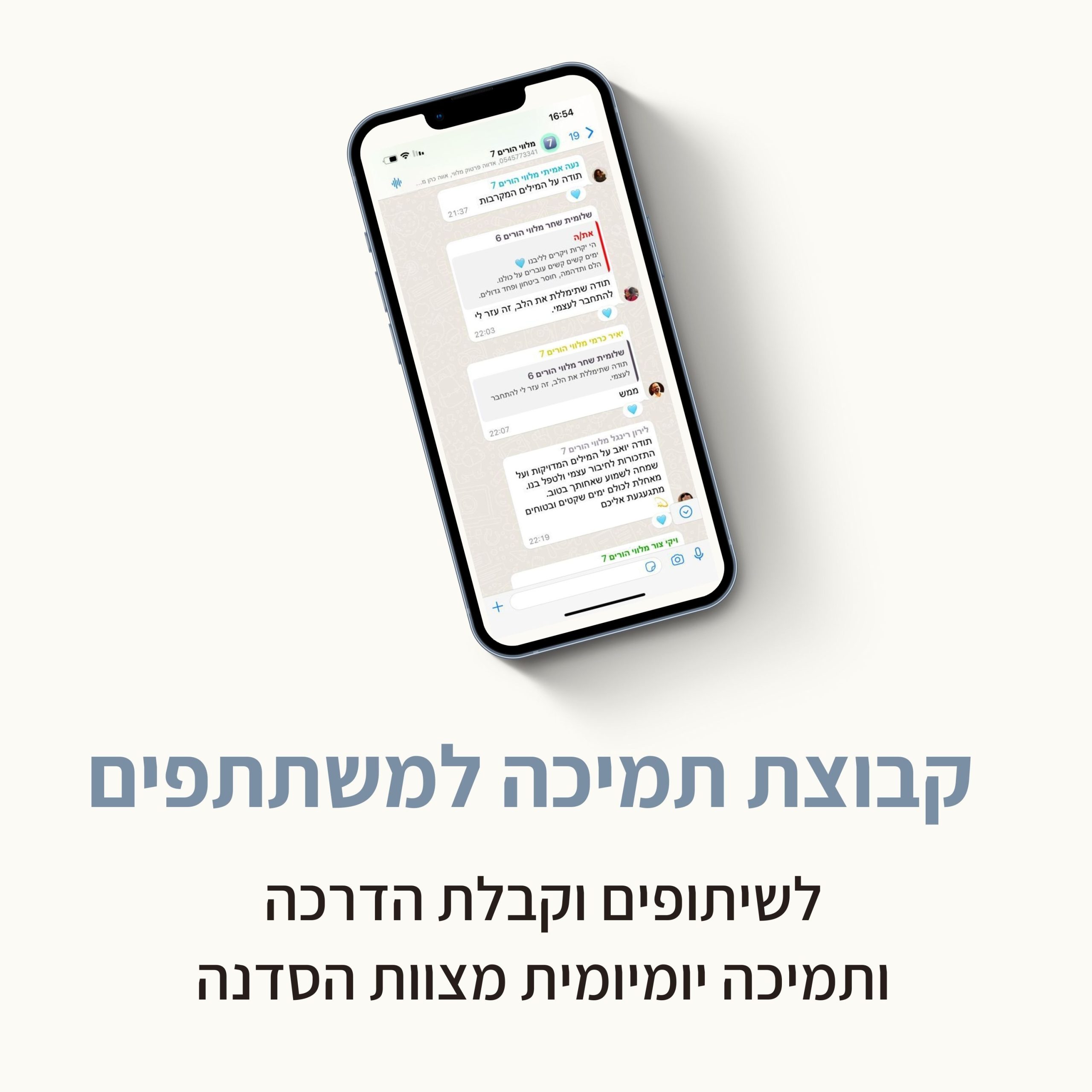 הדמיה 2